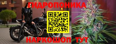 мет Гусев