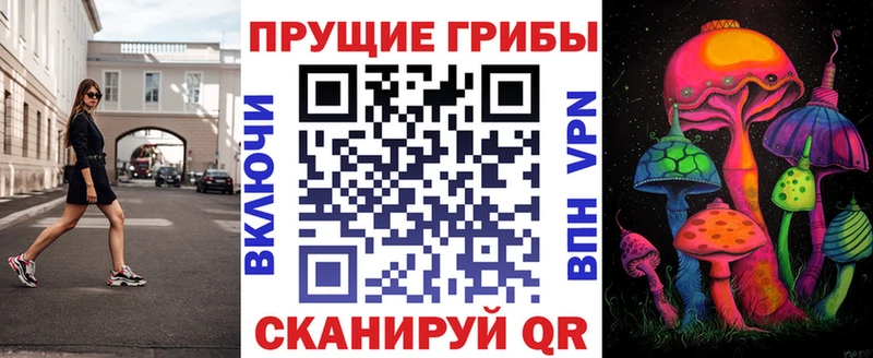 Псилоцибиновые грибы Psilocybine cubensis  Всеволожск 