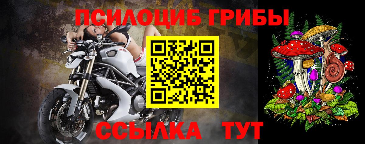 Галлюциногенные грибы Psilocybine cubensis Всеволожск